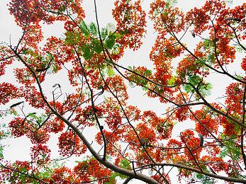 吉田直树访谈纪要 《最终幻想14》7.0开发秘闻